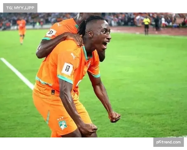 世预赛非洲区九支小组头名 直接晋级世界杯