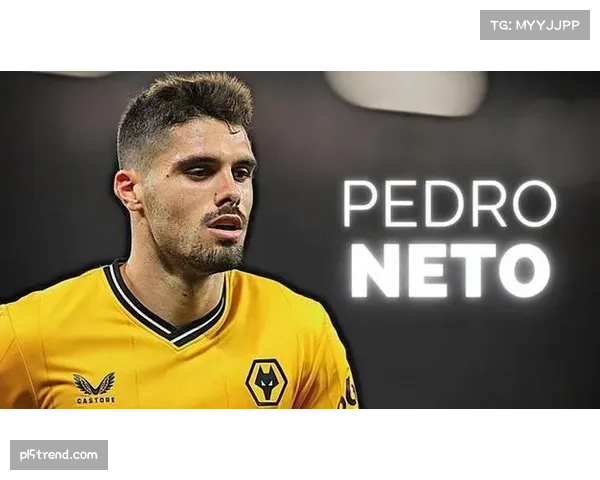 佩雷拉中场硬度建设重点 狼队防守组织但进攻创造力缺乏变化